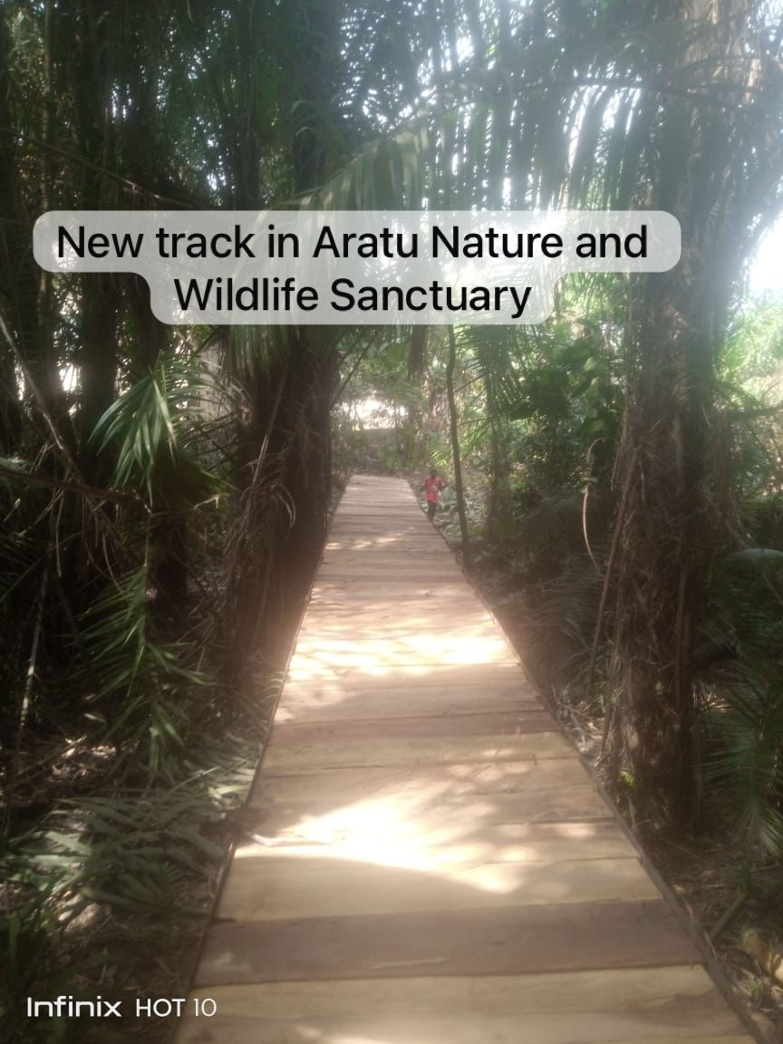 Field photograph from Igbehinadun Agroforestry