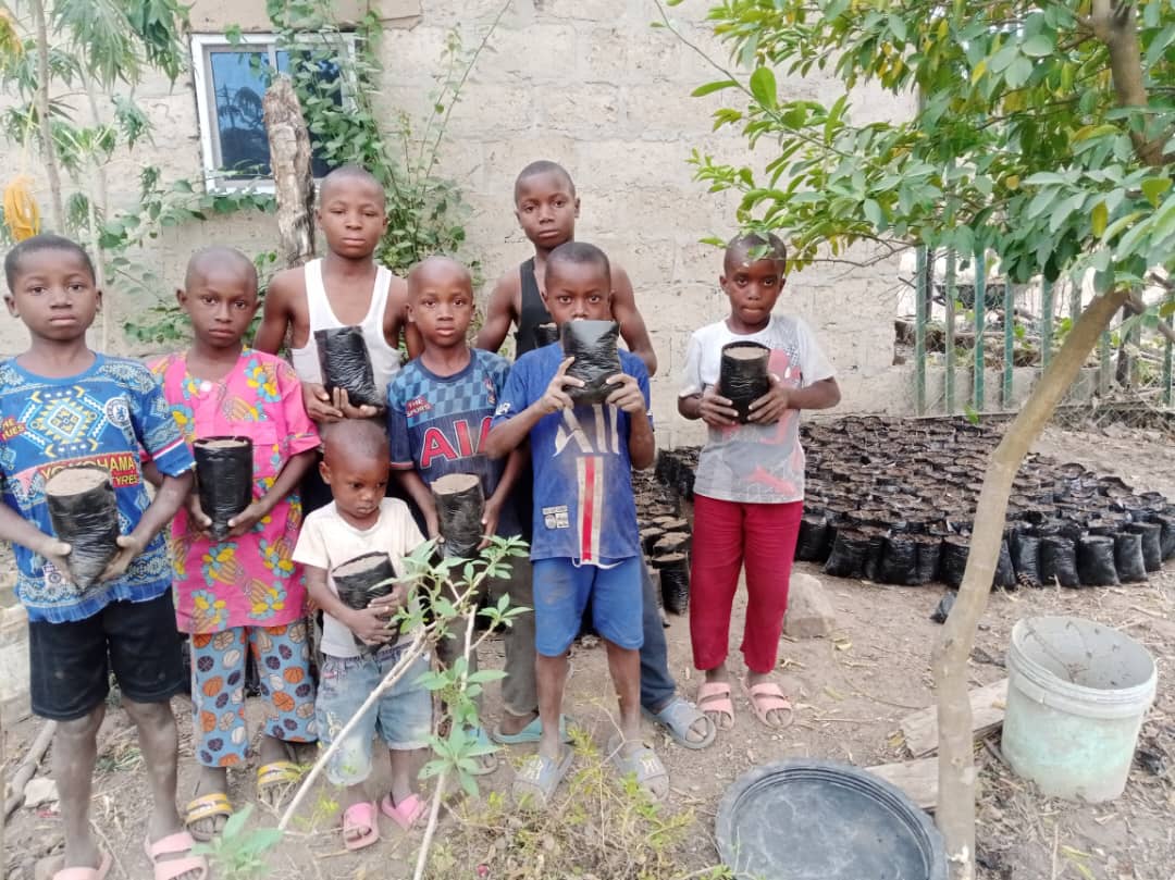 Sustainable agroforestry practices in Nigerian communities